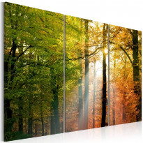 Canvas-taulu Artgeist A calm autumn forest, eri kokoja