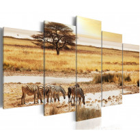 Canvas-taulu Artgeist Zebras on a savannah, eri kokoja