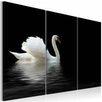 Canvas-taulu Artgeist A lonely white swan, eri kokoja