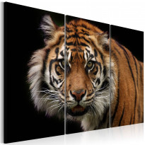 Canvas-taulu Artgeist A wild tiger, eri kokoja