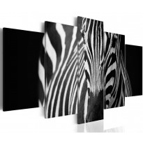 Canvas-taulu Artgeist Zebra look, eri kokoja
