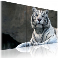 Canvas-taulu Artgeist White tiger, eri kokoja