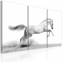 Canvas-taulu Artgeist A galloping horse, eri kokoja
