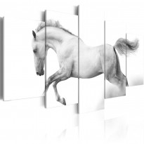 Canvas-taulu Artgeist Horse - passion and freedom, eri kokoja