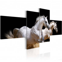 Canvas-taulu Artgeist Animal world- white horses galloping, eri kokoja