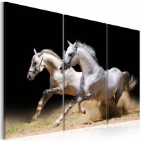 Canvas-taulu Artgeist Horses - power and velocity, eri kokoja