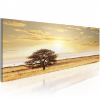 Canvas-taulu Artgeist Lonely tree on savannah, eri kokoja