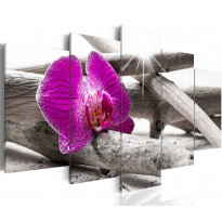 Canvas-taulu Artgeist Orchid on beach, eri kokoja