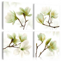 Canvas-taulu Artgeist Admiration of Magnolia, eri kokoja