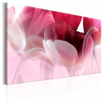 Canvas-taulu Artgeist Nature: Pink Tulips, eri kokoja