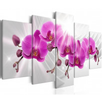 Canvas-taulu Artgeist Abstract Garden: Pink Orchids, eri kokoja