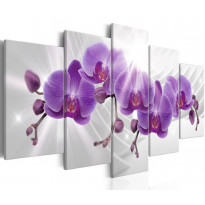 Canvas-taulu Artgeist Abstract Garden: Purple Orchis, eri kokoja