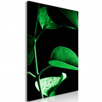 Canvas-taulu Artgeist Plant in Black, 1-osainen, pystysuuntainen, eri kokoja