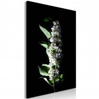 Canvas-taulu Artgeist White Lilacs, 1-osainen, pystysuuntainen, eri kokoja