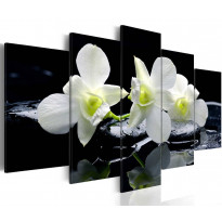 Canvas-taulu Artgeist Melancholic orchids, eri kokoja