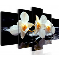 Canvas-taulu Artgeist Orchids with orange accent, eri kokoja