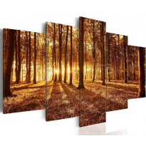 Canvas-taulu Artgeist Amber forest, eri kokoja