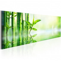 Canvas-taulu Artgeist Green Bamboo, eri kokoja
