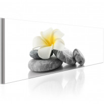Canvas-taulu Artgeist White Lotus, eri kokoja