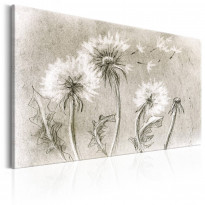 Canvas-taulu Artgeist Pencil Dandelions, eri kokoja