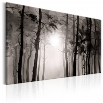 Canvas-taulu Artgeist Foggy Forest, eri kokoja