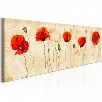 Canvas-taulu Artgeist Tears of Poppies, eri kokoja