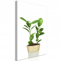 Canvas-taulu Artgeist Plant In Pot, 1-osainen, pystysuuntainen, eri kokoja