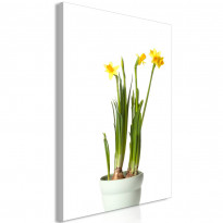 Canvas-taulu Artgeist Narcissus, 1-osainen, pystysuuntainen, eri kokoja