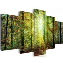 Canvas-taulu Artgeist Wild Forest, eri kokoja