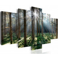 Canvas-taulu Artgeist Fairytale Forest , eri kokoja