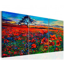 Canvas-taulu Artgeist Valley of Poppies, eri kokoja