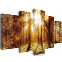 Canvas-taulu Artgeist Forest Illumination, eri kokoja