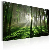 Canvas-taulu Artgeist Emerald Forest II, eri kokoja