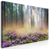 Canvas-taulu Artgeist Purple Meadow, 1-osainen, leveä, eri kokoja