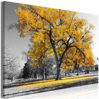 Canvas-taulu Artgeist Autumn in the Park Gold, 1-osainen, leveä, eri kokoja