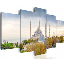 Canvas-taulu Artgeist Hagia Sophia - Istanbul, Turkey, eri kokoja