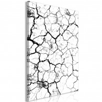 Canvas-taulu Artgeist Cracked Earth, 1-osainen, pystysuuntainen, eri kokoja