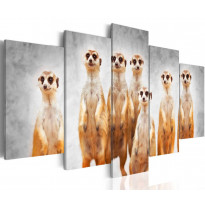 Canvas-taulu Artgeist Meerkats, eri kokoja