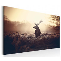 Canvas-taulu Artgeist Lurking Deer, eri kokoja