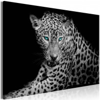 Canvas-taulu Artgeist Leopard Portrait, 1-osainen, leveä, eri kokoja