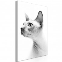 Canvas-taulu Artgeist Hairless Cat, 1-osainen, pystysuuntainen, eri kokoja