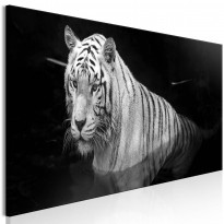 Canvas-taulu Artgeist Shining Tiger Black and White, 1-osainen, kapea, eri kokoja