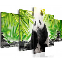 Canvas-taulu Artgeist Sweet Little Panda, eri kokoja