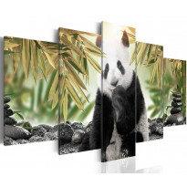 Canvas-taulu Artgeist Cute Panda Bear , eri kokoja