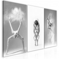 Canvas-taulu Artgeist Ballet Collection, eri kokoja