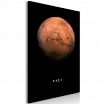 Canvas-taulu Artgeist Mars, 1-osainen, pystysuuntainen, eri kokoja