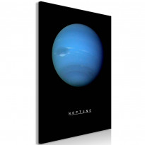 Canvas-taulu Artgeist Neptune, 1-osainen, pystysuuntainen, eri kokoja