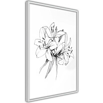 Juliste Artgeist Drawn Flowers, kehyskartongilla, kehyksillä, eri kokoja