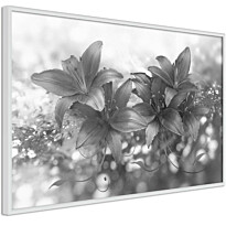 Juliste Artgeist Silver Bouquet, kehyksillä, eri kokoja