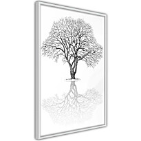 Juliste Artgeist Reflection Tree, kehyksillä, eri kokoja